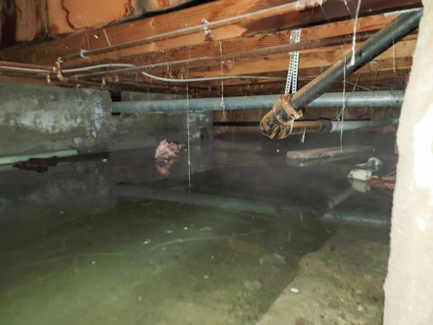 Best Water damage contractors near me  in Kenmore, NY