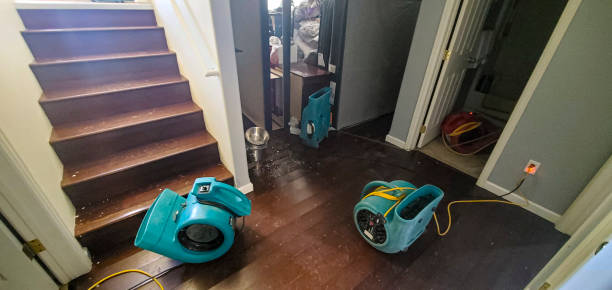 Best Carpet water damage restoration  in Kenmore, NY