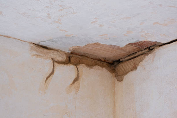 Best Water damage restoration mold remediation  in Kenmore, NY