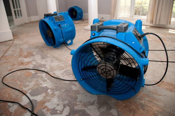 Best Local water damage restoration  in Kenmore, NY