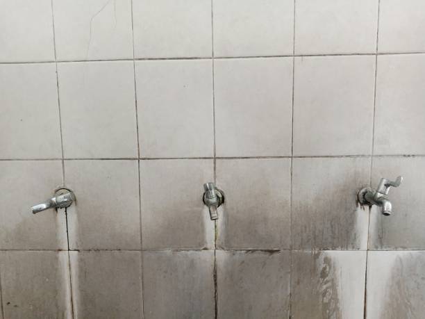 Best Commercial water damage restoration  in Kenmore, NY