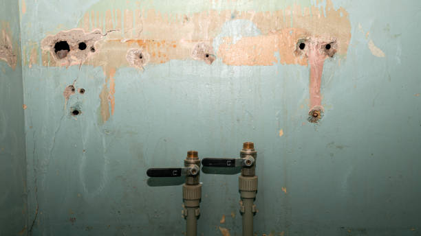 Best Water damage cleanup near me  in Kenmore, NY