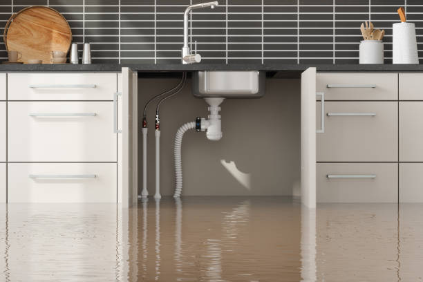 Best Water damage cleanup near me  in Kenmore, NY
