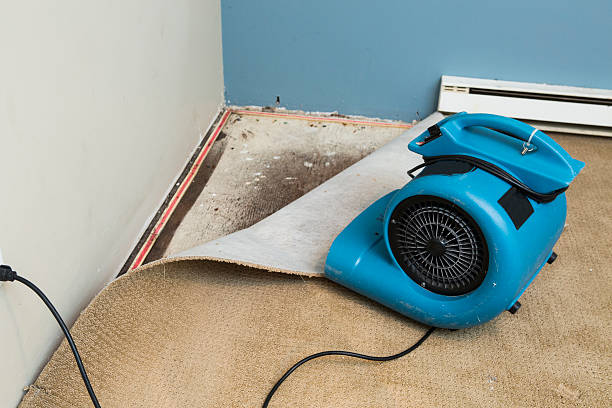 Best Water damage restoration near me  in Kenmore, NY